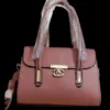 Fashionable Ladies Luxury Bag (1) Ladies Luxury Bag